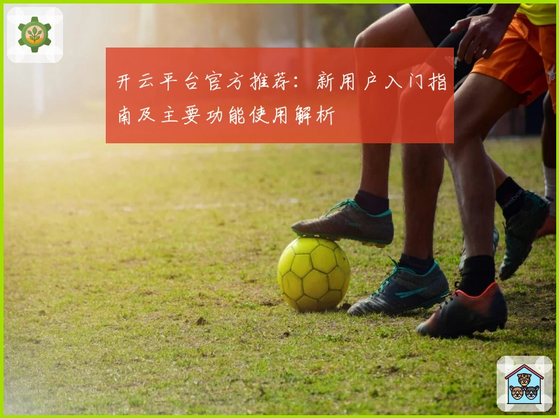 开云平台官方推荐：新用户入门指南及主要功能使用解析