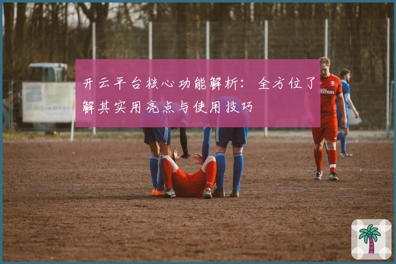 开云平台核心功能解析:全方位了解其实用亮点与使用技巧
