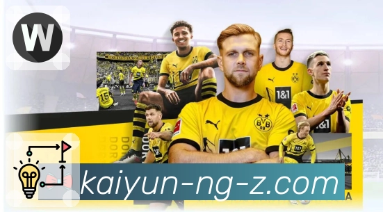 体育直播的每个环节，开云都精心处理。